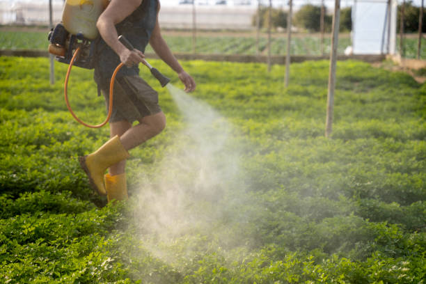 Best Affordable Pest Control Services  in Green, OH