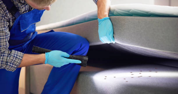 Best Emergency Pest Control  in Green, OH