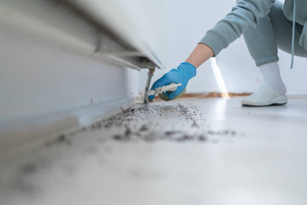 Best Cockroach Control Services  in Green, OH