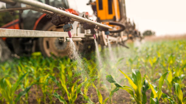 Best Pest Prevention Services  in Green, OH