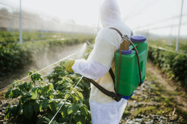 Best Pest Control Near Me  in Green, OH